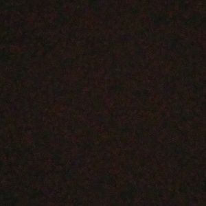 Meet your Posher, Lila